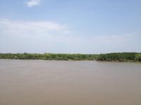 0448 Fahrt durch das Mekong-Delta