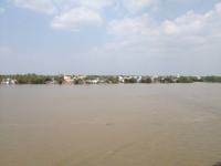 0449 Fahrt durch das Mekong-Delta