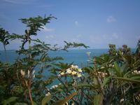 Thailand, Insel Koh Samui