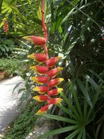 Malaysia, Insel Penang