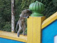 Malaysia, Batu Caves