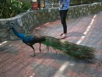 Malaysia, Kuala Lumpur