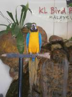 Malaysia, Kuala Lumpur