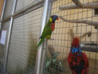 Malaysia, Kuala Lumpur