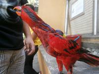 Malaysia, Kuala Lumpur