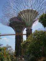 Singapur, Garden by the Bay