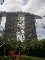 Singapur, Garden by the Bay