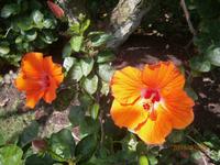 Singapur, Garden by the Bay