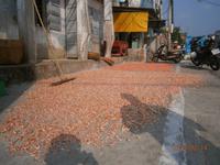 Vung Tau, Fischer Dorf