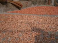 Vung Tau, Fischer Dorf