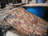 Vung Tau, Fischer Dorf