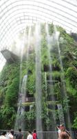 Flower Dome