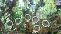 Flower Dome