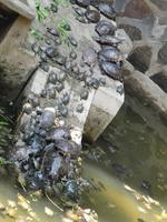 IMG_0022