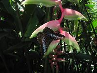 IMG_9458