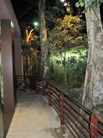 IMG_9539