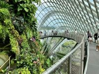 Im Regenwald Dom