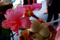 Ko Samui Kokoseis