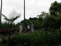 Orchideengarten (4)