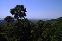 Penang Ausflug