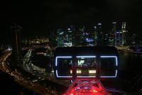 Singapur Flyer bei Nacht
