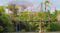 Singapur