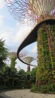 Singapur