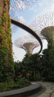 Singapur