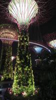 Singapur