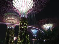 Singapur