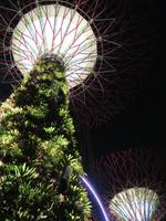 Singapur