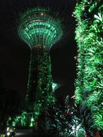 Singapur