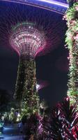 Singapur