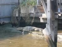 Thonburi Klongs