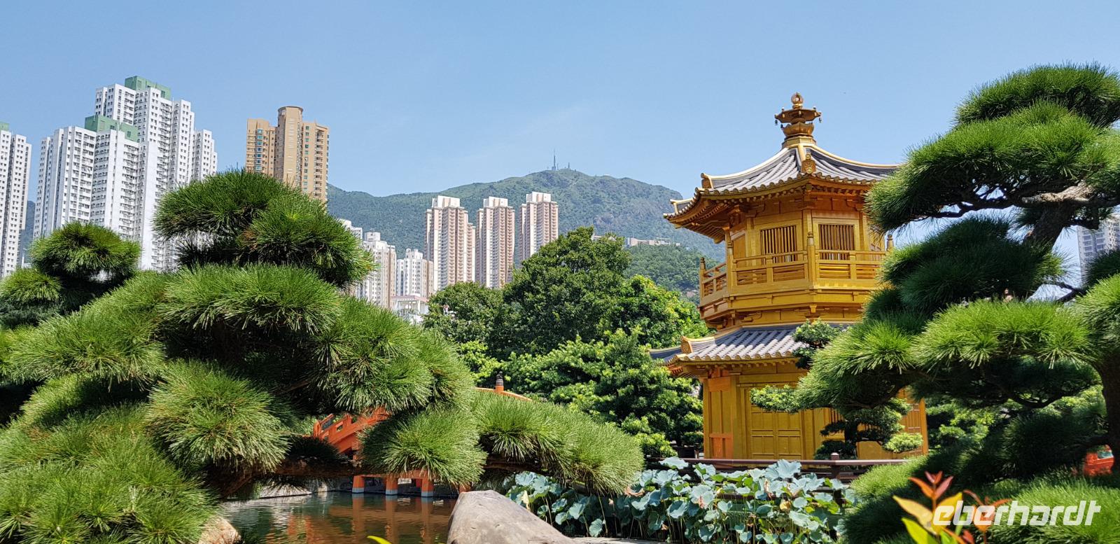 Stadtrundfahrt Hong Kong - Chi Lin Tempel