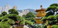 Stadtrundfahrt Hong Kong - Chi Lin Tempel