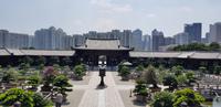 Stadtrundfahrt Hong Kong - Chi Lin Tempel