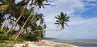 Fiji - Warwick Hotel - Strandspaziergang