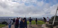 Stadtrundfahrt in Auckland - Mt. Eden