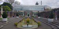 Auckland - Domain Stadtpark - Wintergarten