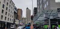 Auckland Stadtrundfahrt
