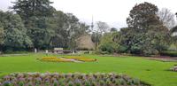 Auckland - Domain Stadtpark