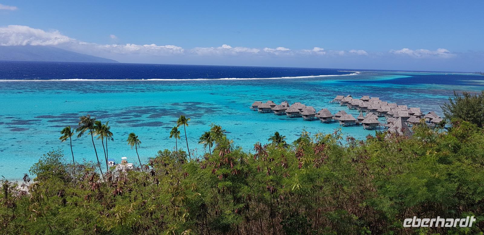Inselrundfahrt auf Moorea