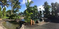 210 Sinalei Hotel Samoa