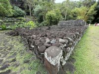 Inselrundfahrt -  Kulturstätte von Arahurahu