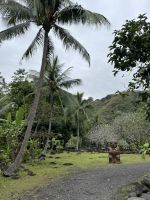 Inselrundfahrt -  Kulturstätte von Arahurahu