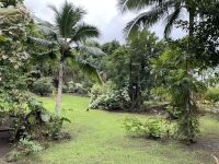 Inselrundfahrt - Vaipahi Tropical Garden