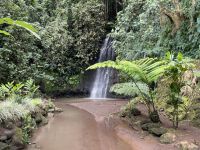 Inselrundfahrt - Vaipahi Tropical Garden