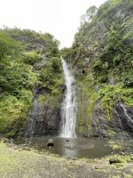 Inselrundfahrt - Vaipahi Tropical Garden