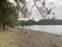 Inselrundfahrt - Leuchtturm am Venus Point 